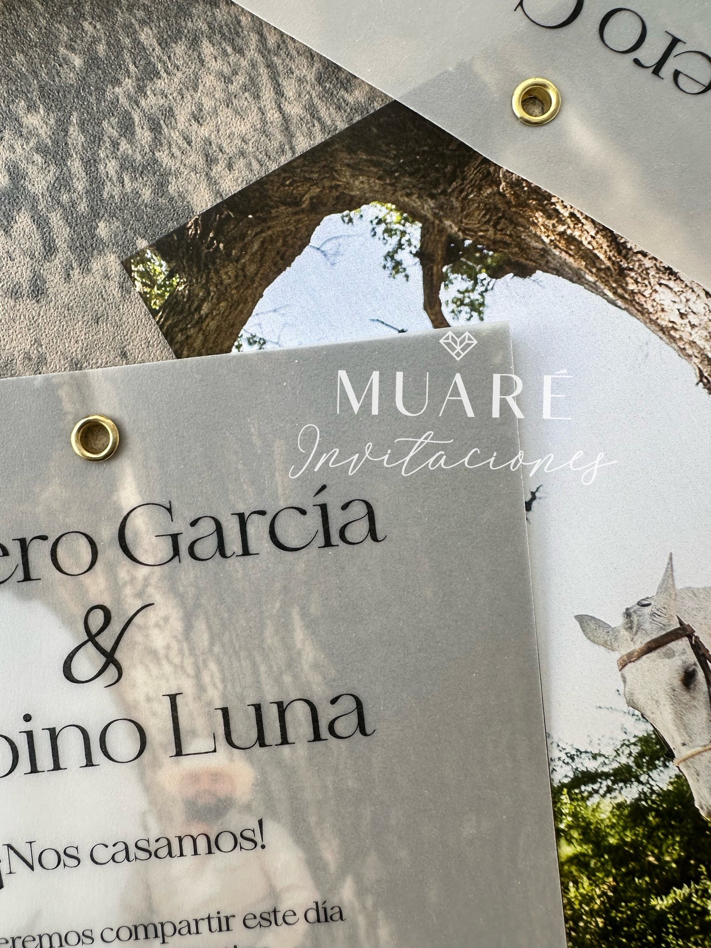 Lucero y Sabino