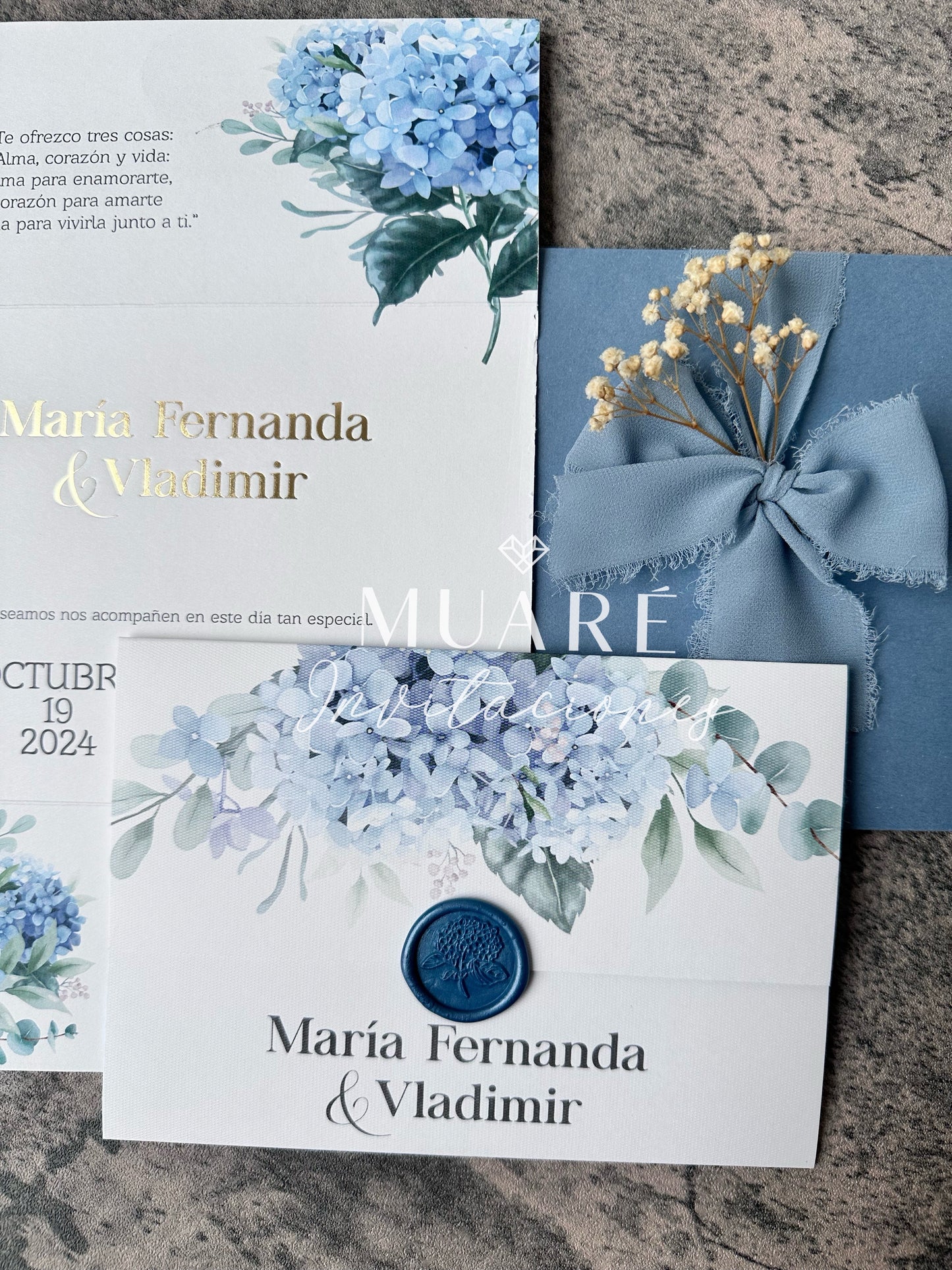 María Fernanda y Vladimir
