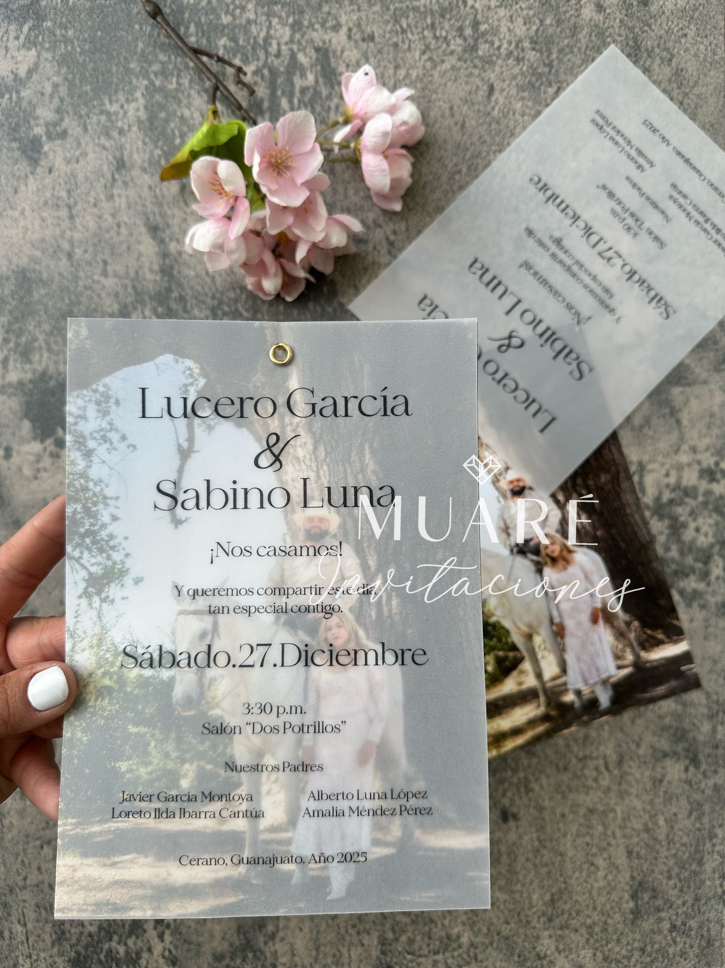 Lucero y Sabino